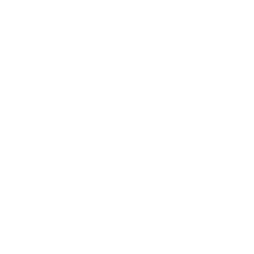 The BIM Workshop company logo - white on transparent background